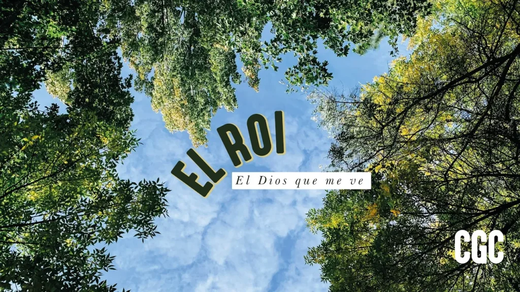El ROI